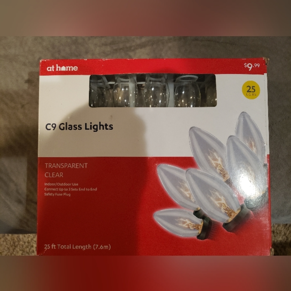 NWT C9 Glass Lights.
